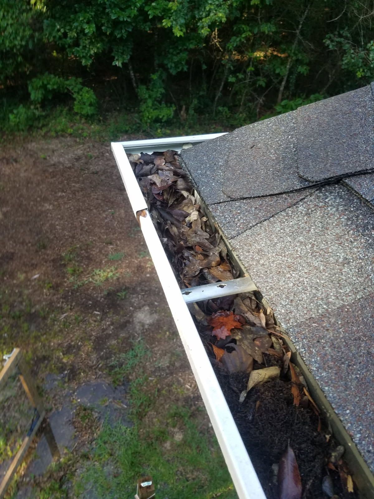 Why Gutter Cleaning Matters for Your Home image