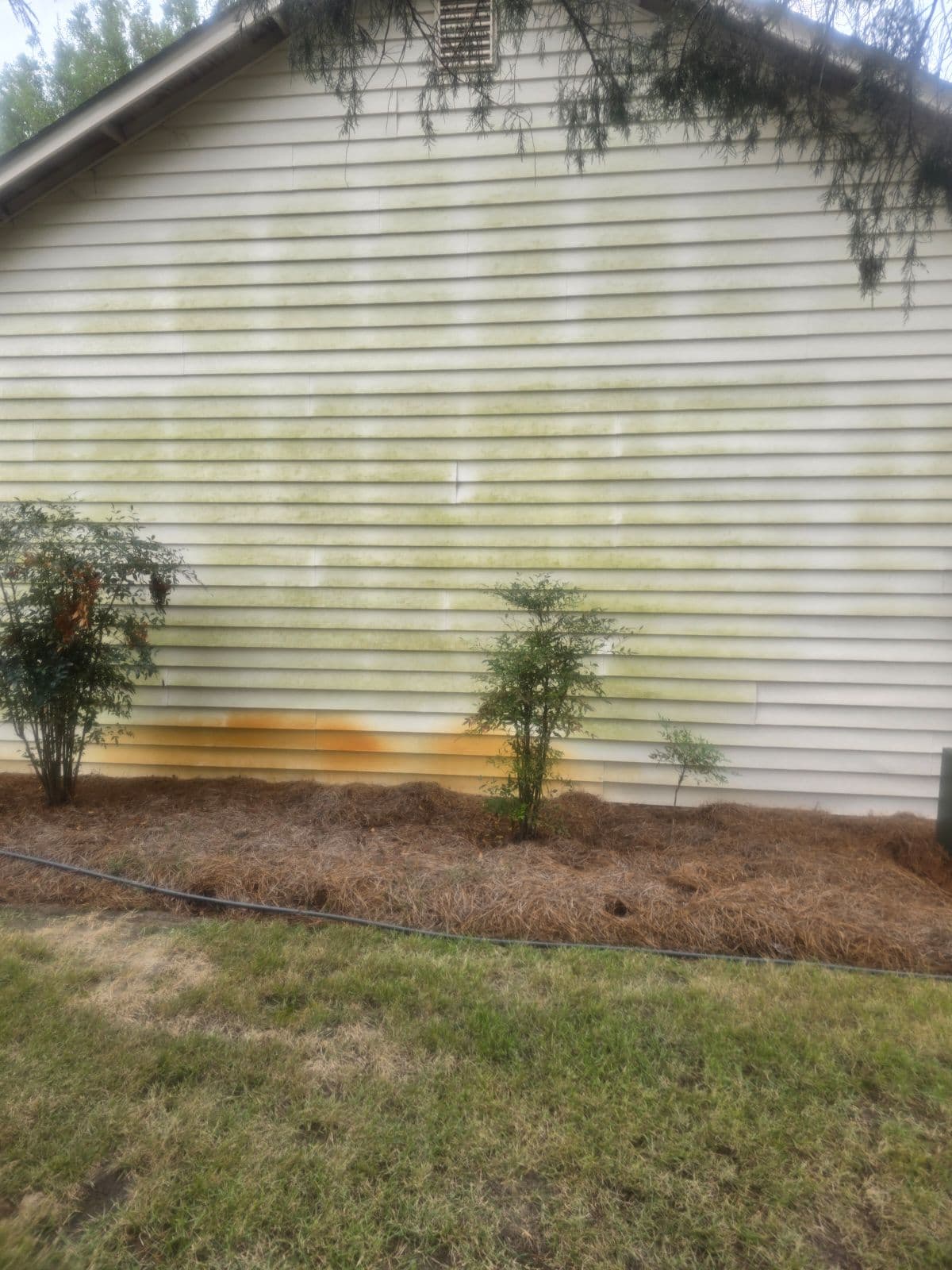 Pressure Washing Transformation image