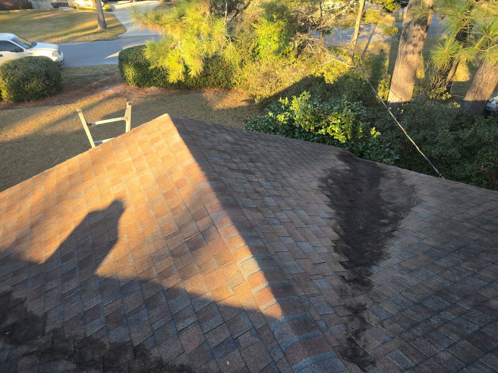 Roof Cleanup in West Ashley image